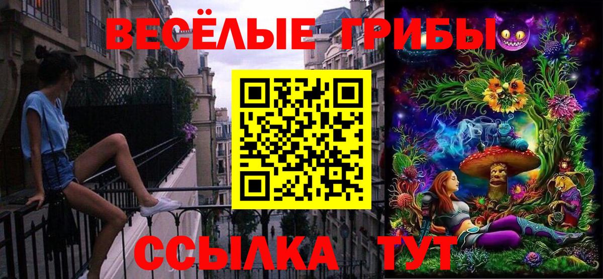 Галлюциногенные грибы мицелий Брянск