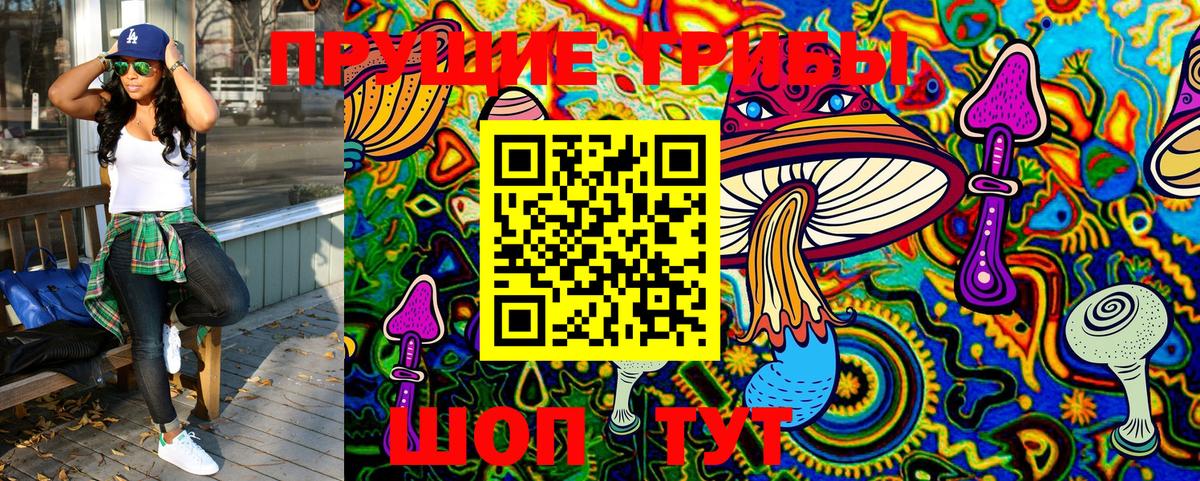 Псилоцибиновые грибы Psilocybe  Псилоцибиновые грибы Psilocybine cubensis  Вход с VPN  Брянск 